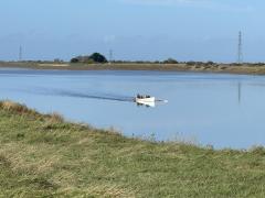 Not much happens on the River Parrett, so this was an exciting moment!